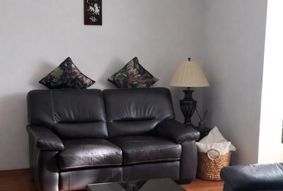 Apartament cu 3 camere semidecomandat, mobilat în Alexandru Obregia - 2