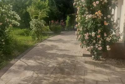 Vand casa Corbeanca - 8