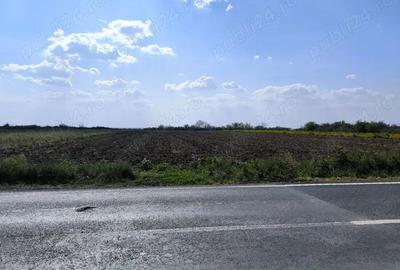 Teren intravilan Vadu-Pasii - 4