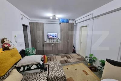 Garsonieră nedecomandată, mobilată în Vișani - 10