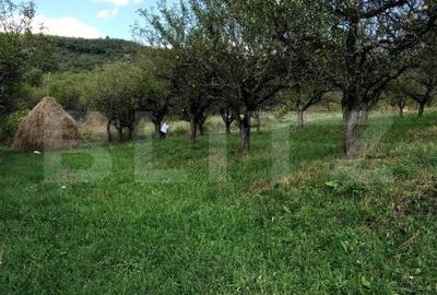 1.07 Ha in Slatinita - 4