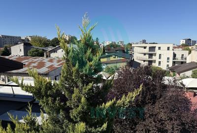 Proprietate specială, de 253 mp, în Calea Călărașilor - 21