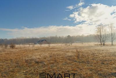 Teren langa liziera padurii 7000mp Calea Poplacii - 2