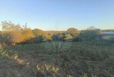 Teren de 3017 mp, în Plopu - 4