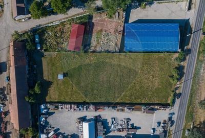 Teren Industrial, 3300 mp,  / DJ 112D, Carpinis - 6