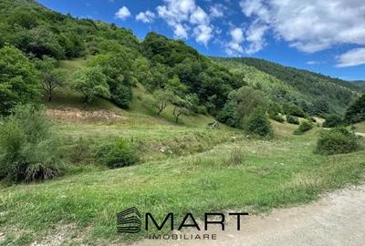 Teren intravilan 8500mp Rasinari - 3