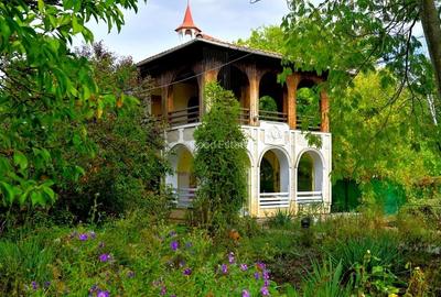 Vanzare vila 6 camere 264mp + garaj + garsoniera separata + 1490mp Centru Snagov - 2