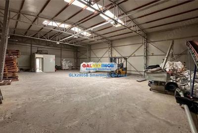 Siloz cu 880tone capacitate totala(4 celule) si| 1650mp teren - 11