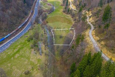 Teren Construcții intravilan de 2000 mp, în Timișu de Jos - 2