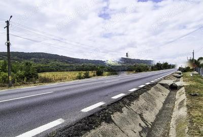 Teren de 7300 mp, în Drăganu - 3