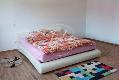 DOUA CASE DE VANZARE LA TALMACIU DOUA CASE DE VANZARE LA TALMACIU - 17