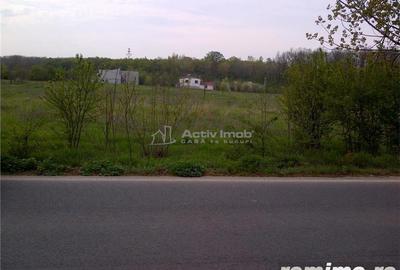 Teren intravilan, 5000mp, Ciolpani - accept schimb - 1