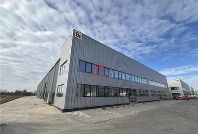 Depozit/hala/spatiu industrial Buftea - Tamasi, Ilfov - 8