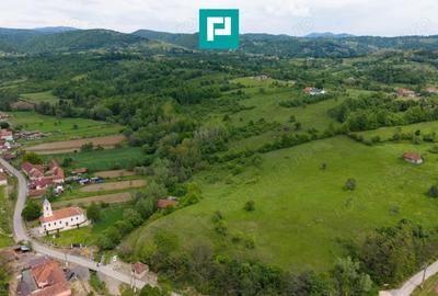 Casă cu Teren 24494 Mp în Lupești - 4