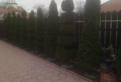 Vand vila P+M 170 mp utili, 400 teren. Techirghiol - 2