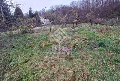 Teren intravilan 1300mp, Zona Valea Ghinzii - 1