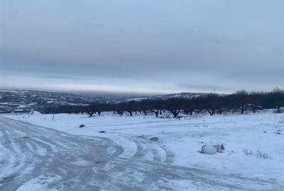 RECO teren Saldabagiu de Munte - 1