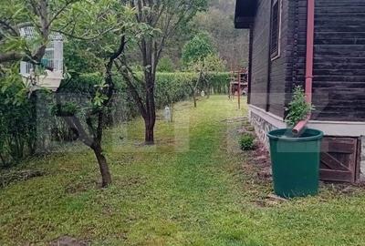 Casă cu 3 camere în Criș - 10