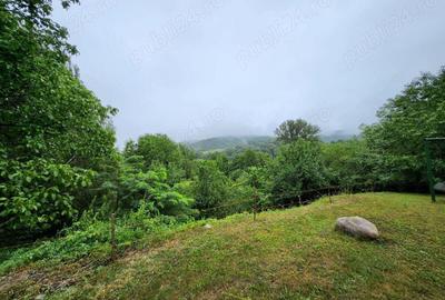 Evadare intr-un Paradis Privat: Proprietate Unica in Valenii de Munte - 6