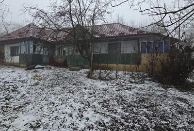 Teren Construcții intravilan de 4220 mp, în Boțești - 3