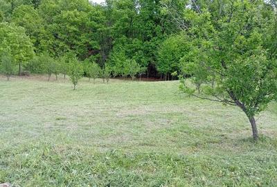 Teren de 1370 mp, în Băbana - 2
