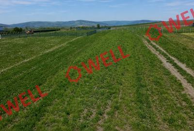 Teren intravilan de 800 mp, în Baraolt - 3