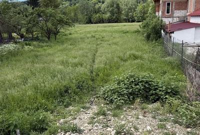 Teren de 1200 mp, în Provița de Sus - 8