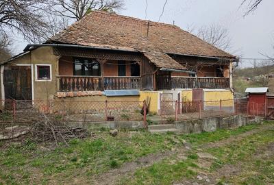 Casă cu 3 camere cu Teren 1300 Mp în Grânari - 4