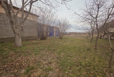 Casă individuală cu 4 camere cu Canalizare în Bod - 21