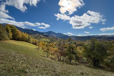 Spațiu comercial, în Bran - 6