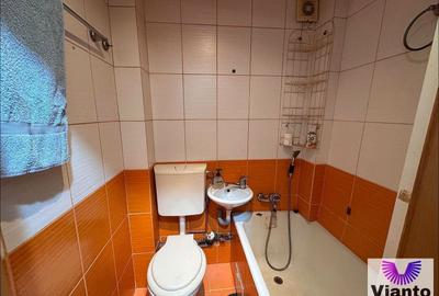 Apartament cu 2 camere nedecomandat, mobilat în Țiglari - 5