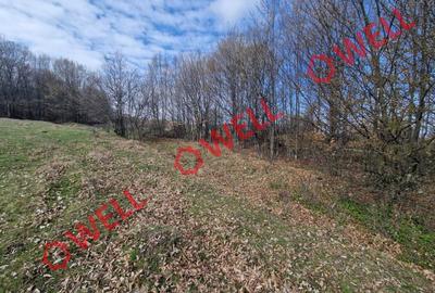 De vânzare teren extravilan în localitatea Brădet! De vânzare teren extravilan în localitatea Brădet! - 9