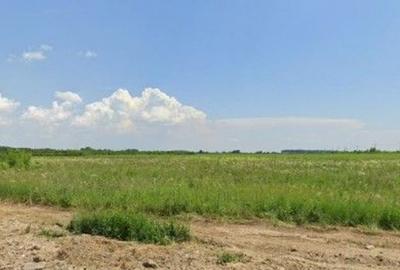 Teren Costestii din Vale, ID: R2582235 Teren Costestii din Vale, ID: R2582235 - 5