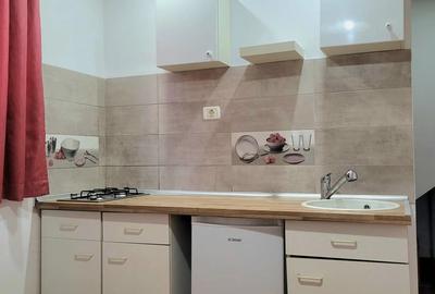 Inchiriez ap 1 camera + dormitor la vila - 6