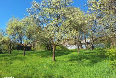 Spațiu comercial, în Ultracentral - 1