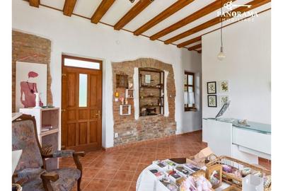 Proprietate cu farmec istoric și potențial turistic in Saschiz - 5