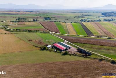 Teren de 18000 mp, în Feldioara - 6