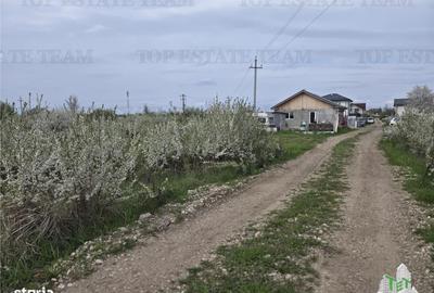Spațiu comercial, în Joița - 6