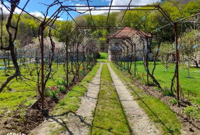 Casă cu 6 camere cu Teren 2559 Mp în Peștișani - 14