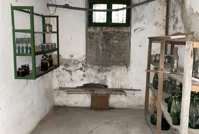 De Vanzare Vila Interbelica, 8-10 Camere, Romana - Zodiac - 22