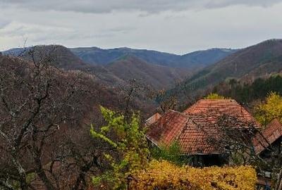 Casă individuală cu 5 camere cu Teren 49690 Mp în Alun (Boșorod) - 4