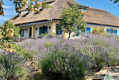 Hotel/Pensiune, de 1,200 mp, în Enisala - 14