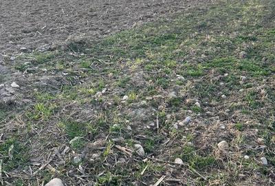 Spațiu comercial, în Orlat - 4