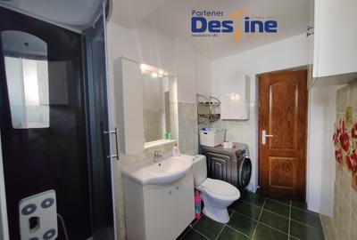 Apartament 2 camere 42 mp + loc parcare + boxa - Bucium-Visan - 9