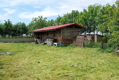 Casă cu 2 camere cu Teren 3500 Mp în Central - 4