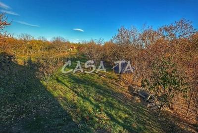 Casă individuală cu 5 camere cu Teren 1805 Mp în Lelești - 11