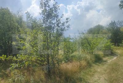 Teren de 5857 mp, în Horodnic - 2