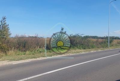 TEREN STUPINI BRASOV - 8