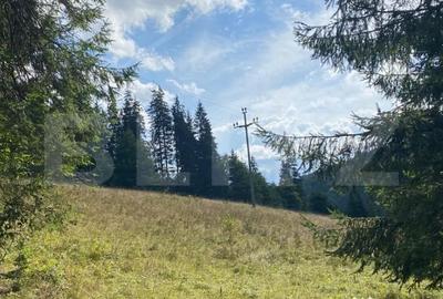 Teren de 9975 mp, în Predeal - 1
