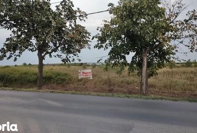 Teren de 30000 mp, în Ghiroda - 6